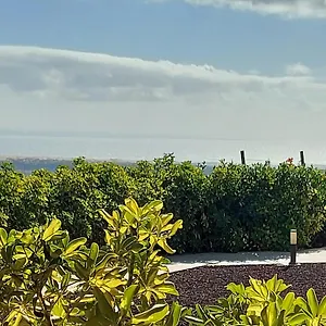 https://the-black-horse-canarias.in-canary-islands.com
